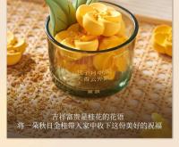 Caja de piedra de fragancia expandida para aromaterapia Osmanthus, uso doméstico duradero en el dormitorio, con un pequeño sentido Premium y - details 6