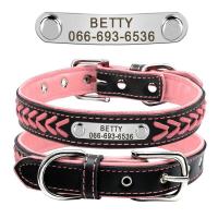 grabado perro, collares trenzados etiqueta identificación, placa con nombre, Collar personalizado mascotas, correa caminar de - details 7