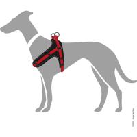 HUNTER Vario Quick - Arnés de Neopreno pequeño, 45-55 cm, 15 mm, Color Rojo y Negro - details 1