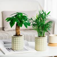 Maceta de plantas hidropónicas de autorriego, Mini maceta suculenta extraíble de plástico, florero de mesa, decoración de bonsái de oficina, nuevo - details 4