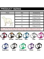Bridle Reflectante Ajustable para Mascotas Chaleco Transpirable Correa de Pecho para Perros Pequeños, Medianos, Grandes Collar para Cachorros Accesorios para Perros - details 2