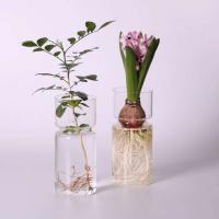 DIY Micro paisaje claro jacinto maceta de vidrio botella terrario contenedor wer florero para el hogar Oficina r - details 2