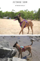 TRUELOVE-arnés a prueba de Escape con bolsillo con cremallera, chaleco táctico para perro, mochila militar de entrenamiento de fácil Control, YH1811 - details 12