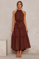 Vestido largo de mujer europea y americana 2025, nuevo vestido con cordones, estampado de lunares y cuello. - details 19