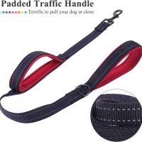 Correa De Nylon Para Perros Con Doble Manija Y Padded Resistente Para Control Y Entrenamiento En Todas Las Estaciones - details 1
