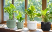 Macetas de Cerámica con autorriego, indicador de nivel de agua con orificios de Drenado, macetas de exterior con autorriego para plantas de Interior, macetas Grandes de facil Cuido, macetas para Potos Violetas - details 2