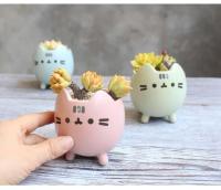 ETA i ued para un agujero de planta jugoso, macizo de flores con un hermoso animal, lindo gato, decoración de jardín, bonai ETA, cumpleaños - details 2