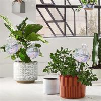 Paquete de 4 bombillas de riego para plantas, plantador de autorriego de Cactus de vidrio, inserto para plantas de interior y exterior - details 3