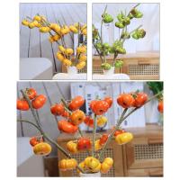 Nuevo adorno de espuma de rama de calabaza Artificial Multicolor, accesorios para fotos de fruta de imitación, regalo de rama de calabaza de simulación - details 8