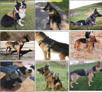 Chaleco Táctico Militar para Mascotas Correa de Entrenamiento al Aire Libre para Perros Medianos y Grandes Collar Incluido - details 32