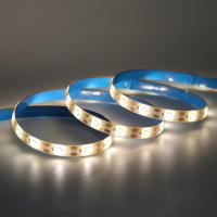 GAHADA Luz de Tira LED Moderna 60Leds/m Diodo Impermeable Luz Nocturna para Habitación - details 7