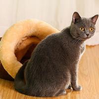 Accesorios para mascotas, saco de dormir cálido para gatos, suave, semi cerrado, estera para perrera, cama para gatos, cueva, túnel lavable, nido para gatos para interior - details 1