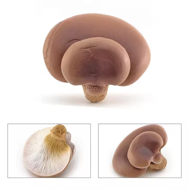 Figuras de hongos modelo vegetal Matsutake Oyste paisaje miniaturas simulación hongo planta Artificial modelo de hongo - 1