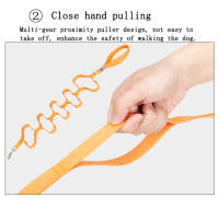 Truelove-Correa de cuerda ecológica para perro, material reciclado, de liberación rápida, transpirable, cómoda, de poliéster, para caminar, TLL3073 - details 4