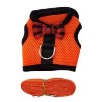 Correa de arnés para cachorro Chihuahua Collar de malla para gatito pequeño - details 2