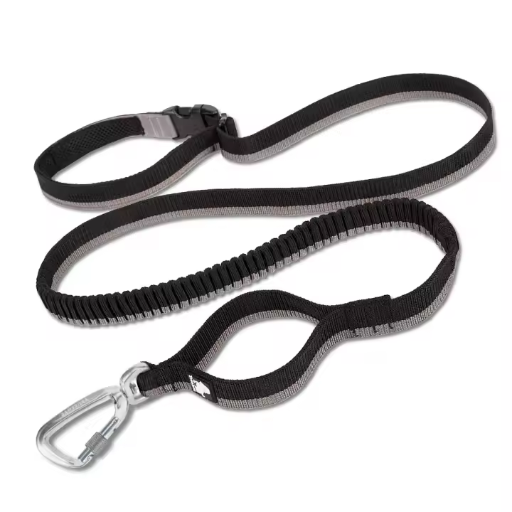 Truelove - Banda elástica para correr para mascotas, accesorio manos libres para perros de tamaño mediano a grande, profesional, armas de fuego, costuras reflectantes, - 1