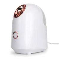Vaporizador de niebla caliente Nano iónico Facial, Sauna para el hogar, SPA, humidificador Facial, atomizador para mujeres y hombres, hidratante, desobstruye los poros - details 0