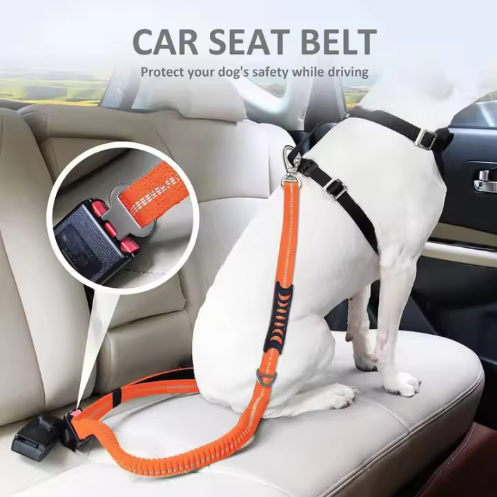 Correa reflectante Perro, cinturón Nailon duradero, elástico entrenamiento mascotas, Cuerda Seguridad Coche de vie para Perros - 1