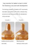 Cubierta de botella universal adecuada para accesorios de hegen tapa de caja de almacenamiento funda antipolvo + cuello de botella + chupón normal productos chinos - details 4