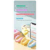 Embalaje privado Sexy inalámbrico Bluetooth G Spot consolador vibrador APP Control remoto usar huevo vibrador clítoris bragas femeninas juguetes sexuales para adultos - details 1