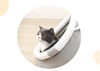 Cama lavable para mascotas, cojín para tienda de campaña, cesta para cachorros, cueva, suave, suministros para gatos - details 5