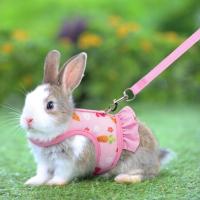 Correa de arnés para conejo con hebilla ajustable Chaleco de malla transpirable para mascotas pequeñas como conejos y cóndores - details 5