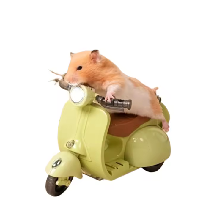 Mini Scooter Eléctrico de iluminación para acrobacias, motocicleta, suministros para mascotas, juguete para hámster - 1