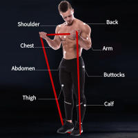 Resistance Bands 10PCS Full Set 7 Levels 5-230 lbs With Door Anchor Accessories Pull Up Assist Workout Band - details 2