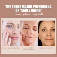 Crema reductora de arrugas que elimina las ojeras reafirmante antienvejecimiento líneas finas hidratante aprieta la cara cosméticos probióticos para el cuidado de la piel - details 3