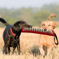 Juguete Interactivo para Masticar para Perros Grandes Duradero con Asa y Cuerda Juguete de Entrenamiento para Mascotas - details 17