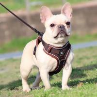 Arnés de tracción con rayas reflectantes para mascotas, antitirones conjunto de cuerda, Collar de perro, correa de pecho - details 7