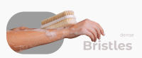 dry and wet brushing with dense bristles for lather