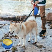 Durable con mosquetón, cuenco plegable para mascotas, contenedor de comida para cachorros impermeable, cuenco alimentador de agua y comida, contenedor de comida para cachorros - details 3