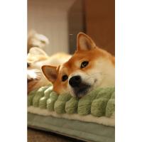Cama a cuadros para perros pequeños y medianos, sofá de lujo, cálido, pelusa para dormir, extraíble, lavable, para invierno - details 4