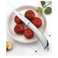 Cuchillo De Frutas Plegable De Acero Inoxidable Para Cocina Accesorios De Cocina Portátil Para Exteriores Cuchillo De Pelar Frutas - details 6