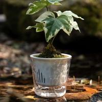 Nuevo estilo, maceta transparente transpirable con autorriego, maceta transparente para jardín, macetas de plástico para plantas - details 6