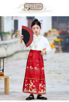 Falda con cara de caballo para niña, conjunto Hanfu, nuevo estilo Ming Tang de primavera para niños grandes, disfraz antiguo de estilo chino - details 7