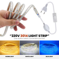 Tira de luces LED de 220V con enchufe europeo, lámpara de Exterior resistente al agua IP67, cinta azul, blanca y cálida, decoración, SMD 3014, 120Led/m - details 0
