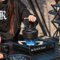 Estufa de Viento Fuerte y A Prueba de Fuego Portátil de 3100W Parrilla de Montaña y Camping al Aire Libre de Aleación de Aluminio - details 3