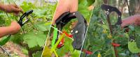 SWANSOFT Máquina de Anudar Tomates Herramienta de Cinta para Jardín para Engrosar Ramas de Plantas - details 1