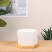 Maceta de cerámica hexagonal blanca con bandeja, maceta Europea Simple, contenedor de plantas suculentas, macetas pequeñas para bonsái - details 11