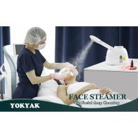 facial steamer for face professional