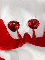 Conjunto de Sujetador Transparente con Borlas de Cuatro Piezas Lencería Sexy para Mujeres - details 18
