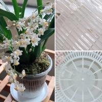 Macetas de orquídeas de plástico transparente para flores, lavabo transpirable, macetas de orquídeas, Control de raíces, maceta de escritorio transparente - details 1