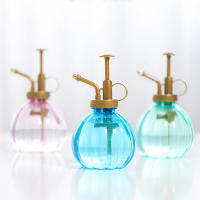 Botella de Agua de Presión para Riego de Plantas Herramienta de Jardín Adecuada para Succulentas Cactus y Plantas de Aire Hecha en China - details 1