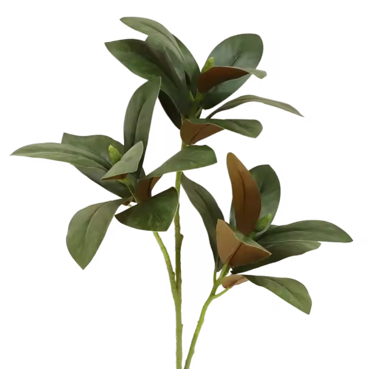 Planta de hoja de Magnolia Artificial de 75cm, planta de Magnolia falsa realista grande hecha a mano, rama de árbol de Magnolia simulada de tacto Real - 1
