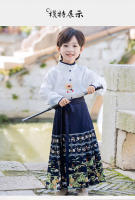 Conjunto de Falda Hanfu para Niñas Otoño 2025 Traje de Estilo Chino Antiguo para Actuaciones de Recitación Zapatos y Ropa - details 42