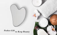 guasha tool for face