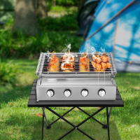 Parrilla de Gas de 4 quemadores, para barbacoa, Camping - details 3