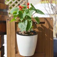 Planta de plástico, absorción de agua automática creativa montada, flores para el hogar, ETA para decoración de paredes - details 4
